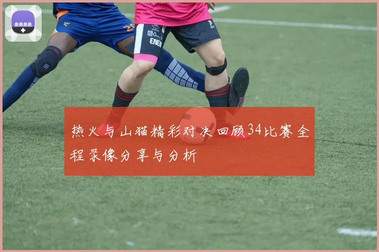 热火与山猫精彩对决回顾34比赛全程录像分享与分析