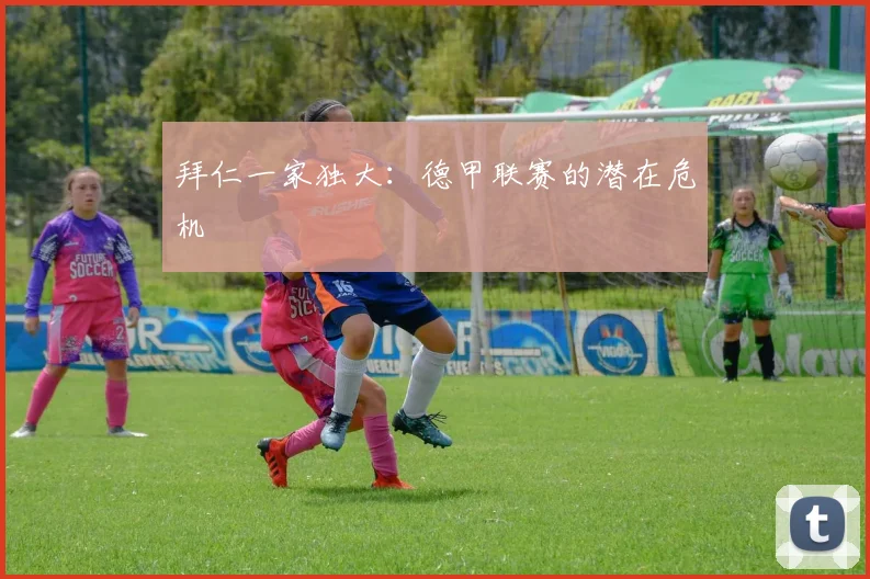 拜仁一家独大：德甲联赛的潜在危机
