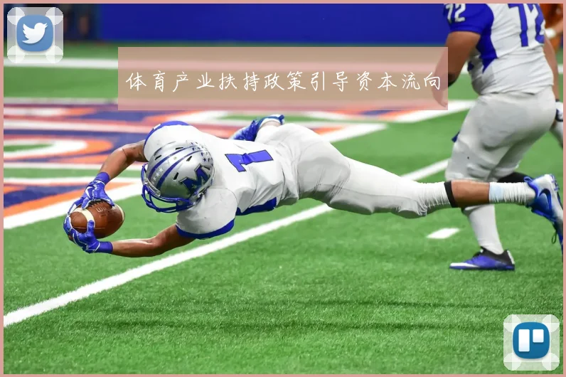 体育产业扶持政策引导资本流向