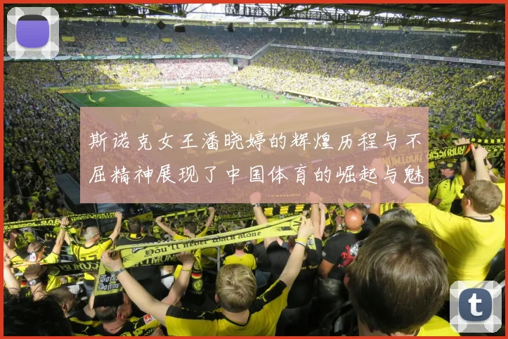 斯诺克女王潘晓婷的辉煌历程与不屈精神展现了中国体育的崛起与魅力