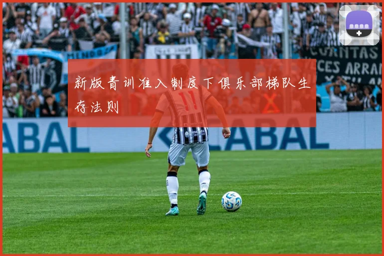 新版青训准入制度下俱乐部梯队生存法则